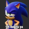 Meme Sonic Lucu 6