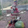 🍃🐶🧿 Perro Chamán 🧿🐶🍃 12