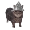 🌈🐈‍⬛✨️Gatos Funny Mood✨️🐈‍⬛🌈 29
