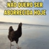 Bom dia, que preguiçaaaa 5