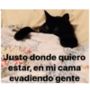 Justo donde quiero estar, en mi cama evadiendo gente