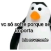 VOCÊ IRÁ CURTIR ESSAS  12