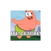 Meme petrik 16