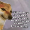 Memes Random 24 🔥😎👑 6