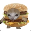 Michis comida 10