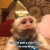 Meme e Shitpost 7