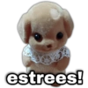 geysioyed estrees!
