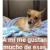 Animalitos 2 19
