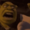 Adesivos sem contexto (Shrek) 💚📖 8