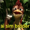 João frango 13