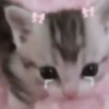 Kucing lucu 6