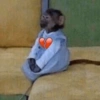 Changuitos pt.2🐵 10 💔