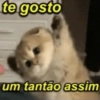 SÓ LOVE SÓ LOVE ❤️ 9
