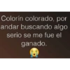 Memes tontos 😅 22