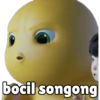 bocil songong