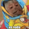 🐒 Macaco Direto e Sincero 15