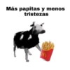 Animalitos Random🪴🐾 8