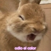 Memes con texto 6 🏝️👀 11