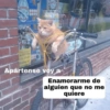 Memes con texto 6 🏝️👀 7
