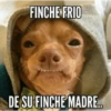 Hace frío❄️🌨️✨ 14