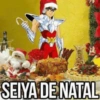 AS NOVAS DE NATAL 14