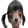 Doggies Moods 15