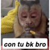 🤑 memez 🤑 12