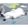 Gato shitpost 9