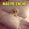 Bom dia, que preguiçaaaa 10