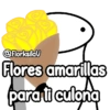 @Florksilav Flores amarillas para ti culona