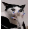Memes bombando 7