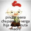 Momos 19