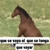 Memes Random 24 🔥😎👑 9