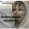 Quiero seguir mimiendo