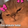 Eso alokate bebé