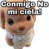 Conmigo No mi ciela! geysay