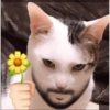 SHITPOST TOP 15 5