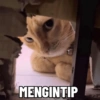 MENGINTIP