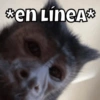 *en LÍneA*