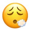 Emojis de iPhone  23