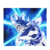 Goku ultra instinto 6