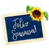 Lunes/inicio de semana🗓️2 8