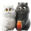 GATITOS REACCION 17