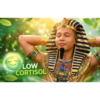 Cortisol meme 12