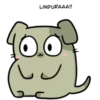 Gatito Inestable 28
