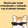 Siento que estoy triunfando y valiendo vrg al mismo tiempo.