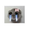 Hamster triste 26