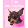Fato Certo Não Tem Erro 11