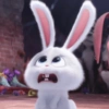 Snowball triste/preocupado 🐰 7