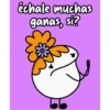 Amiga Florky 10